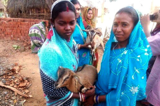 True Joy Lies in the Act of Giving